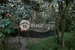 Mặt tiền nhựa dt782 4 8tỷ shr