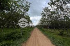 Bán 6 3ha đất vườn khu dân cư châu thành