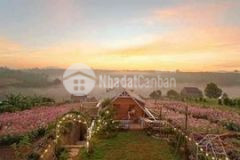 Đất nền 2 mặt tiền bảo lộc view đồi