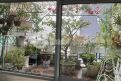 Bán nhà 3 lầu đối diện chung cư m one bế văn cấm