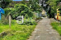 Đất thuỷ thanh giá đầu tư đường oto tận nơi