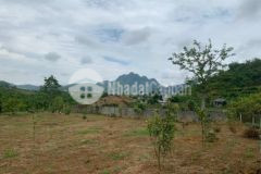 Bán đất cao phong giá hợp lý nhất cắt lỗ