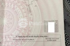 Bán đất tặng nhà cấp 4 đường phương mai vĩnh phước