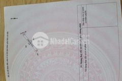 Đất phủ hồng lên thổ được khu dân cư