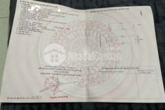 Tin hốt đường võ trường toản an hải bắc