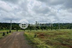 Ngộp lãi ngân hàng cần bán gấp lô đất tt thị trấn