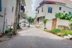 Bán 50m quất động thường tín giá công nhân