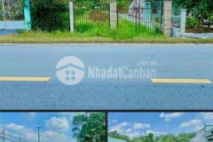 Ngộp bán căn nhà mặt tiền đường nguyễn văn khạ