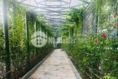 Chcc 3pn đ chỉ p2302 a2 ecolife capital 58 tố hữu