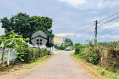 Lô tc 8 29m thôn 3 cuêbua cách tl5 chỉ 50m