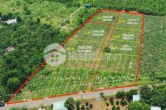 Chủ ngộp ngân hàng cần ra gấp hết dự án