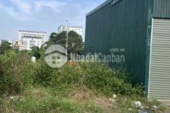 Bán đất dịch vụ dương nội hà đông