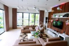 Ban biêt thư flamingo đai lai tự xây