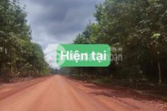 Cần bán đất vườn ngay dt753 vào 300m