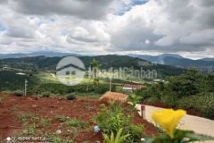 Đất 1000m2 chỉ 1 tỉ 35otr tặng ngay 5 chỉ vàng