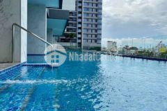 1pn kingdom truc tiep cdt ck 4 5