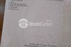 Kiệt oto nam cao nối dài