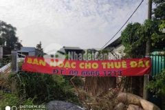 Đất mặt tiền mai bá hương bình chánh hcm