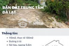 Bán 110m2 đất thổ đường ôtô p4 đà lạt giá 6 2tỷ