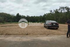 2159m2 đất cách chợ nhật huy 500m