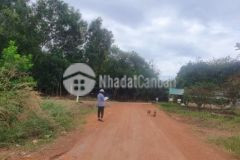 Đất tân lợi đồng phú