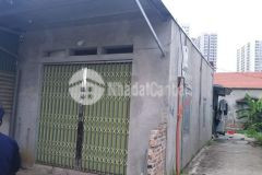 Chính chủ bán nhà 52,5 m² tại an đào c, trâu quỳ sát với vinhome oceanpark.