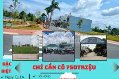 Sốc, sốc, sốc, chủ cần bán gấp, long trạch, cần đước, long an.