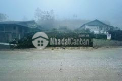 Bán gấp mảnh đất sapa giá cắt lỗ
