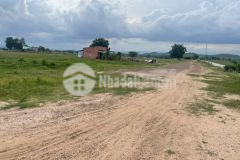 Bán đất trồng cây lâu năm hàm thuận bắc, đường hiện hữu sổ sẵn