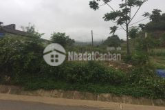 Bán nhanh 1054m2 phiêng luông,mộc châu, đã có sổ giá hơn 5trm2