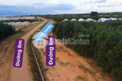 Hơn 11,000m2 đất phan thanh, 2 mặt tiền đường ngay kênh nước cách ql1a 1.5km giá 1.43 tỷ