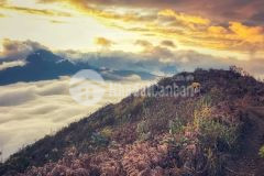 Đất nền trung tâm sapa2 y tý. đón sóng lớn có sổ đỏ,khai thác du lịch 4 mùa