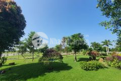 Hàng hiếm tại khu dịch vụ hỗn hợp vsip quảng ngãi