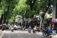 Nhà nguyễn du, quận hai bà trưng, dtmb 76m2, mt 5.2m, 7 tầng, kinh doanh. giá 25 tỷ. lh 0961924899.