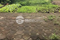 Cực hót bán đất phân lô đấu giá đông mỹ, thanh trì, 77m2x5.5m, vỉa hè, ô tô tránh. chỉ 6xtrm2