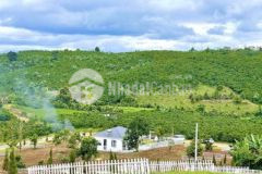 Cần bán lô đất thổ cư gần tp bảo lộc 685tr