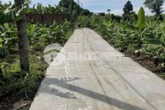 Đất sào xã cây gáo trảng bom