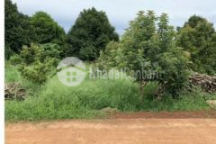 Chính chủ bán gấp 5 xào view suối 2mt full hồng