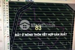 Bán miếng đất 15000m2 có 300 thổ cư tại củ chi