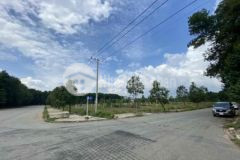 Cần thanh lý đất dân thổ cư xây dựng tự do