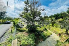 Chủ hạ giá lô đất view suối x suối rao khu dc