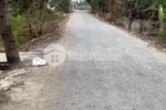 Đất huyện bình chánh 1 233m²