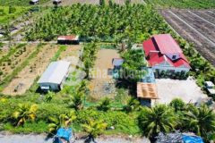 Cần bán nhà vườn nghỉ dưỡng thủ thừa long an