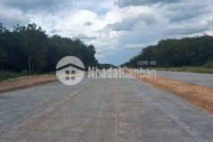 Đất mặt tiền tạo lực bàu bàng 10 55x53m giá tốt