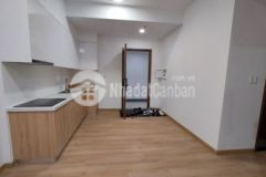 E thảo cần bán gấp căn 2pn nhà mới 100 giá tốt