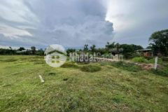 Bán đất 289 m2 full thổ chính chủ