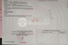 Nhánh đường lê chi dân ngay đối diện kdl đại nam