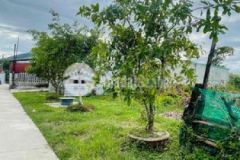 Đất đẹp kiệt xe tăng đà sơn 2 thông qua pnx