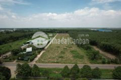 Chủ ngộp bán lô đất ngay chợ cây trường bàu bàng