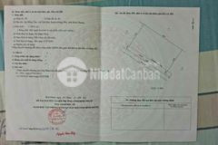 Tối cần ra gấp lô đất sào tân hào giá rẽ